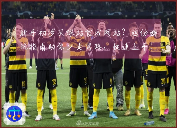 新手初涉买球站官方网站？这份避坑指南助你少走弯路，快速上手！