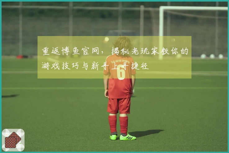 重返博鱼官网，揭秘老玩家教你的游戏技巧与新手上手捷径