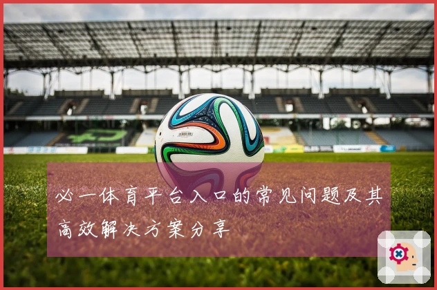 必一体育平台入口的常见问题及其高效解决方案分享