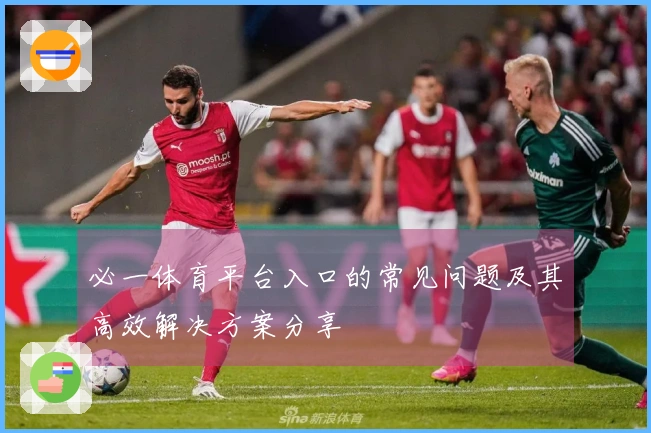 必一体育平台入口的常见问题及其高效解决方案分享