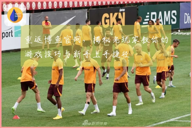 重返博鱼官网，揭秘老玩家教你的游戏技巧与新手上手捷径