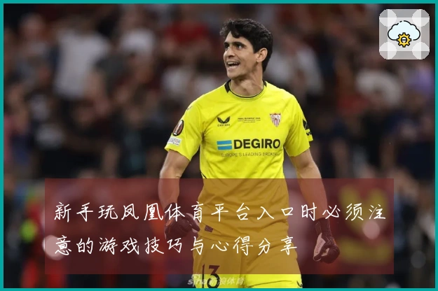 新手玩凤凰体育平台入口时必须注意的游戏技巧与心得分享