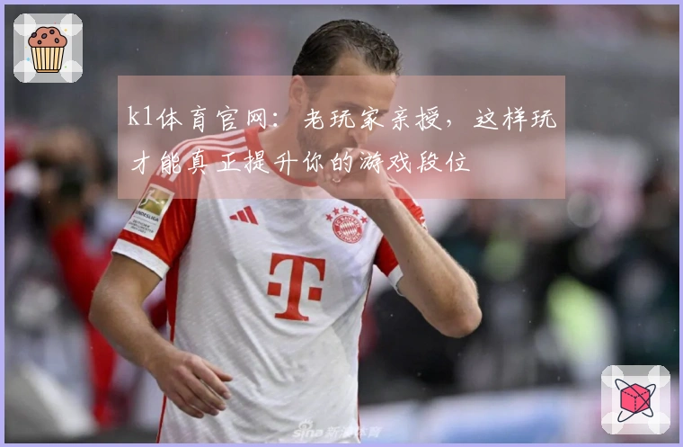 k1体育官网：老玩家亲授，这样玩才能真正提升你的游戏段位