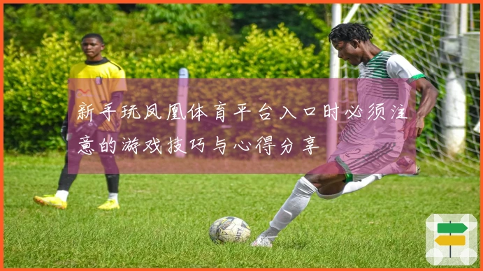 新手玩凤凰体育平台入口时必须注意的游戏技巧与心得分享